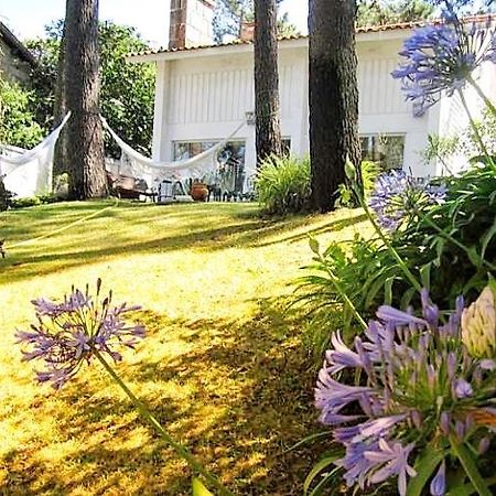 Cabedelo Beach House Viana do Castelo Exterior foto